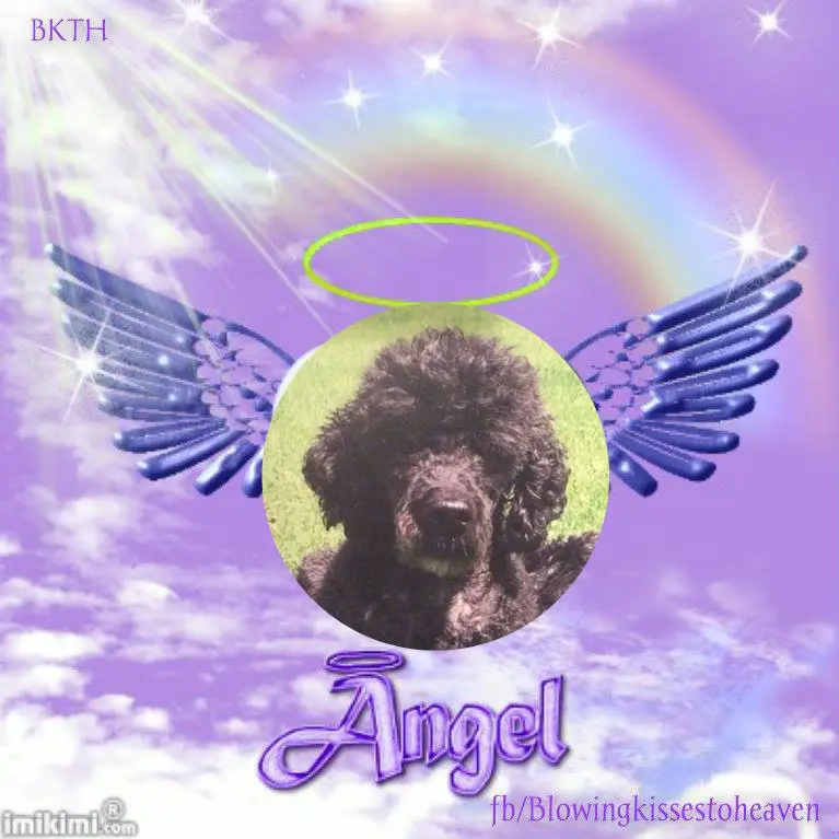 Condolence image of ❤️❤️❤️