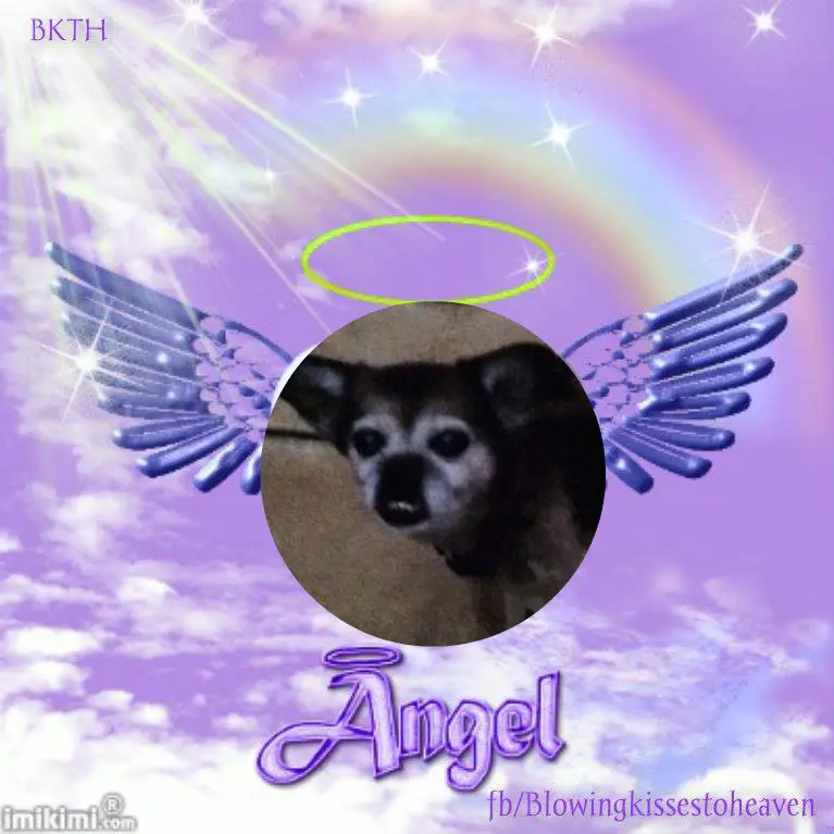 Condolence image of ❤️❤️❤️