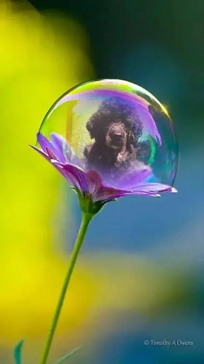 Condolence image of ❤️❤️❤️