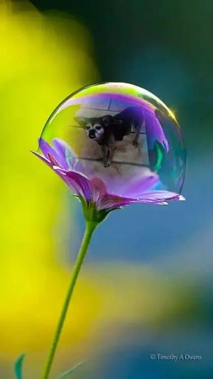 Condolence image of ❤️❤️❤️