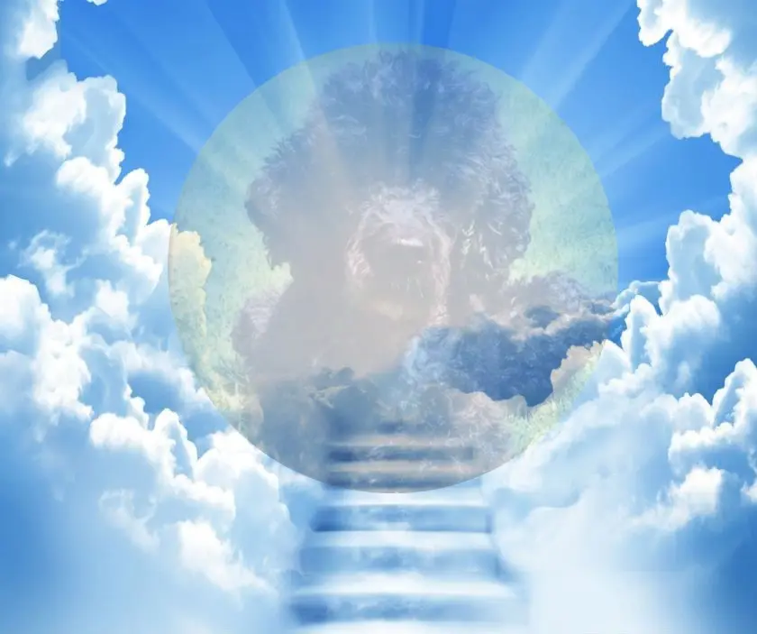 Condolence image of ❤️❤️❤️