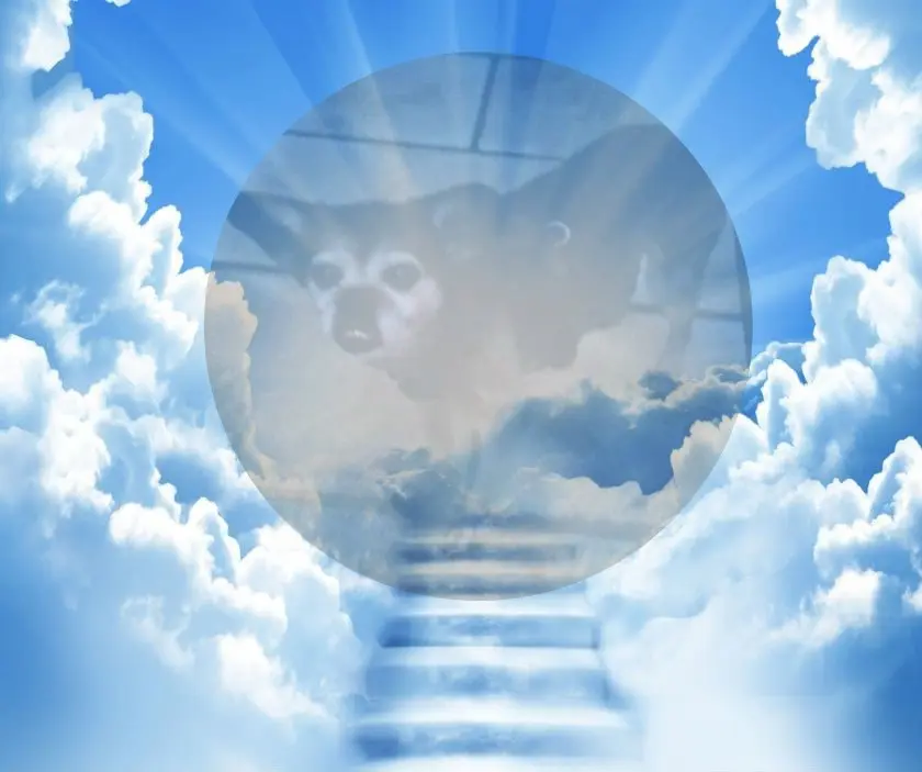 Condolence image of ❤️❤️❤️