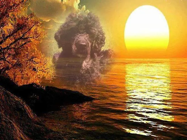 Condolence image of ❤️❤️❤️