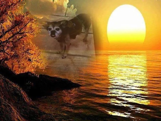 Condolence image of ❤️❤️❤️