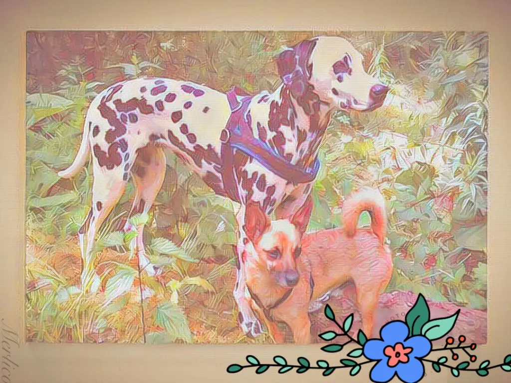 Condolence image of Michaela mit Nicko und Ariane ganz tief im ❤