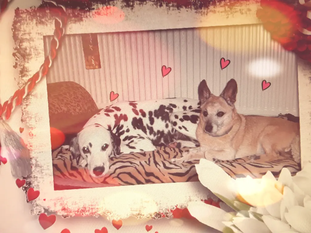 Condolence image of Michaela mit Nicko und Ariane ganz tief im ❤