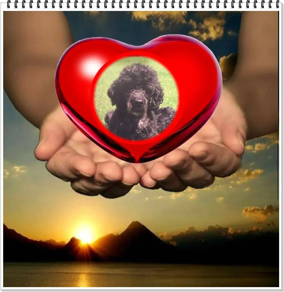 Condolence image of ❤️❤️❤️