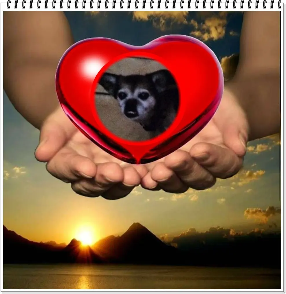 Condolence image of ❤️❤️❤️