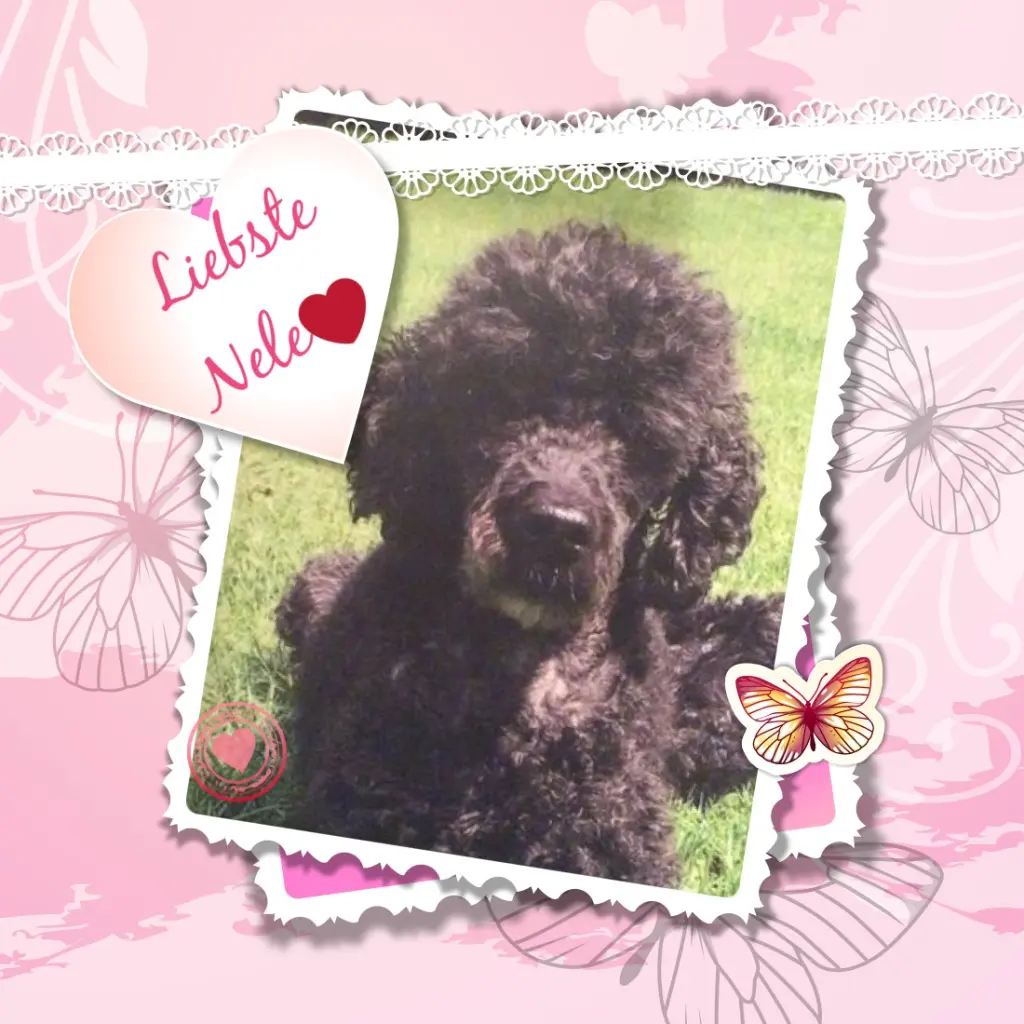 Condolence image of ❤️❤️❤️