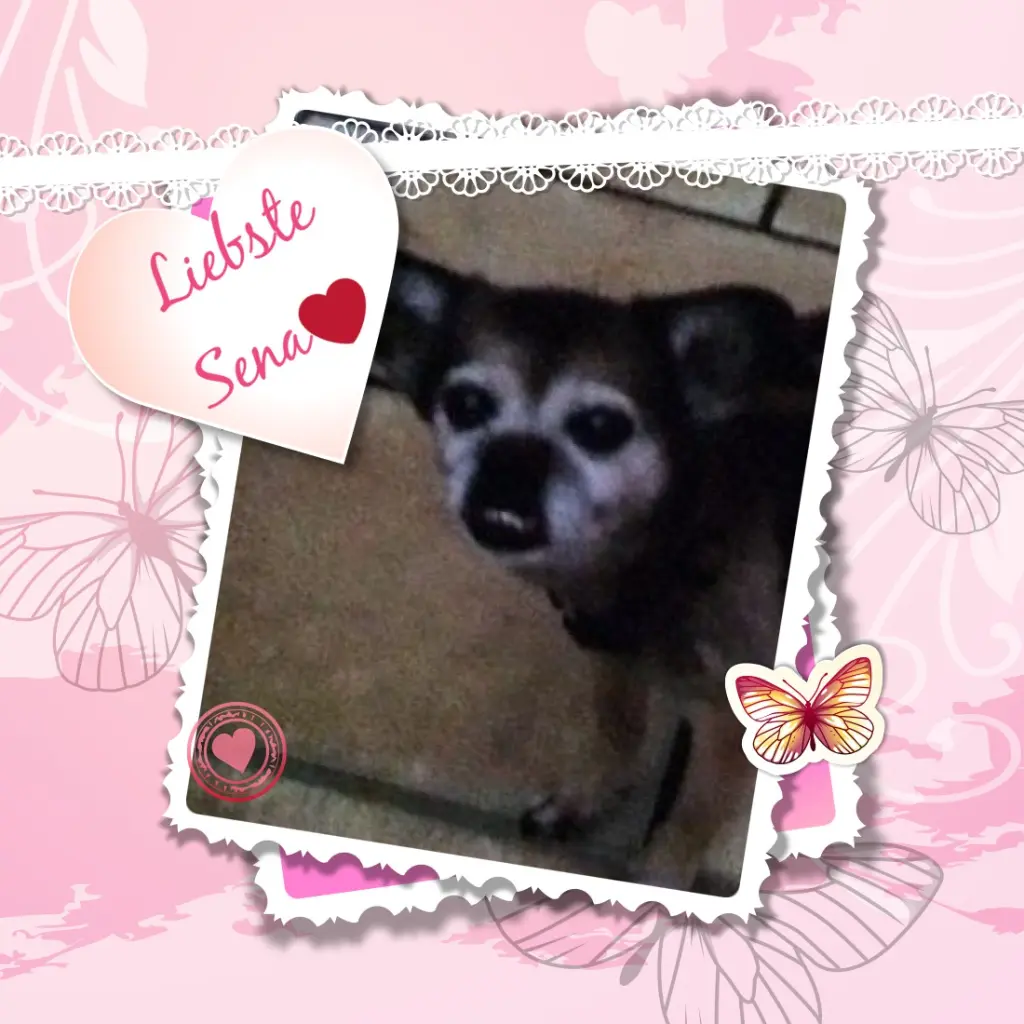 Condolence image of ❤️❤️❤️