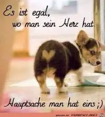 Condolence image of Brigitte mit Nelly, Benny und Axel im Herzen