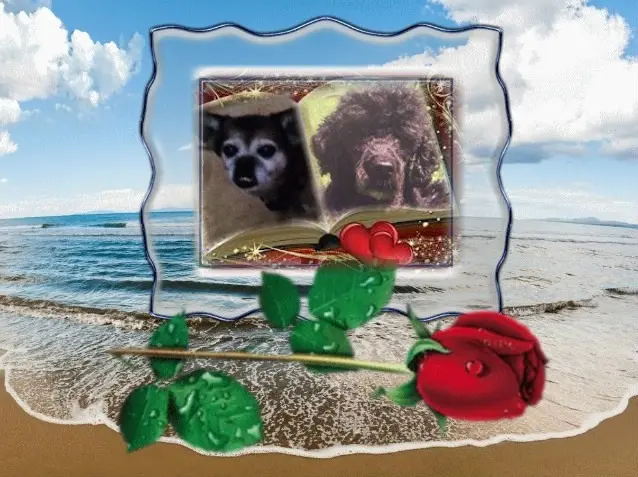 Condolence image of ❤️❤️❤️