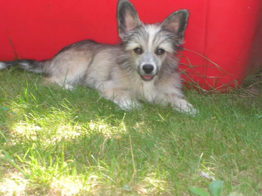 Condolence image of Michaela mit Nicko und Ariane ganz tief im ❤