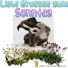 Condolence image of Sonntagsrosen für Nele, Sena und Nina