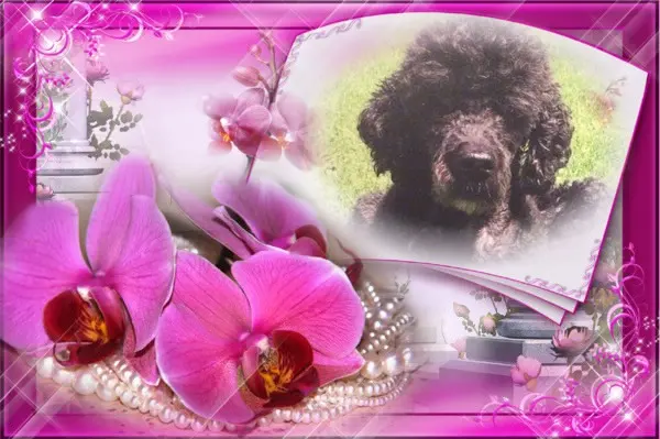 Condolence image of ❤️❤️❤️