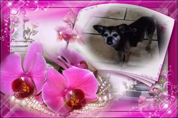 Condolence image of ❤️❤️❤️