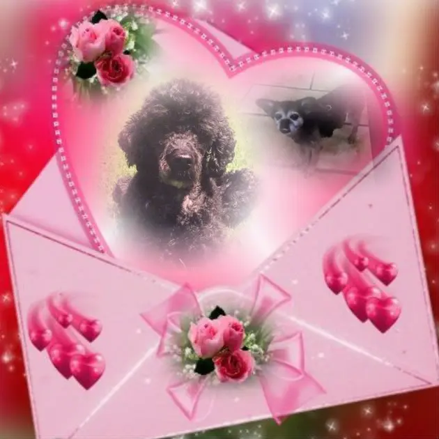 Condolence image of ❤️❤️❤️