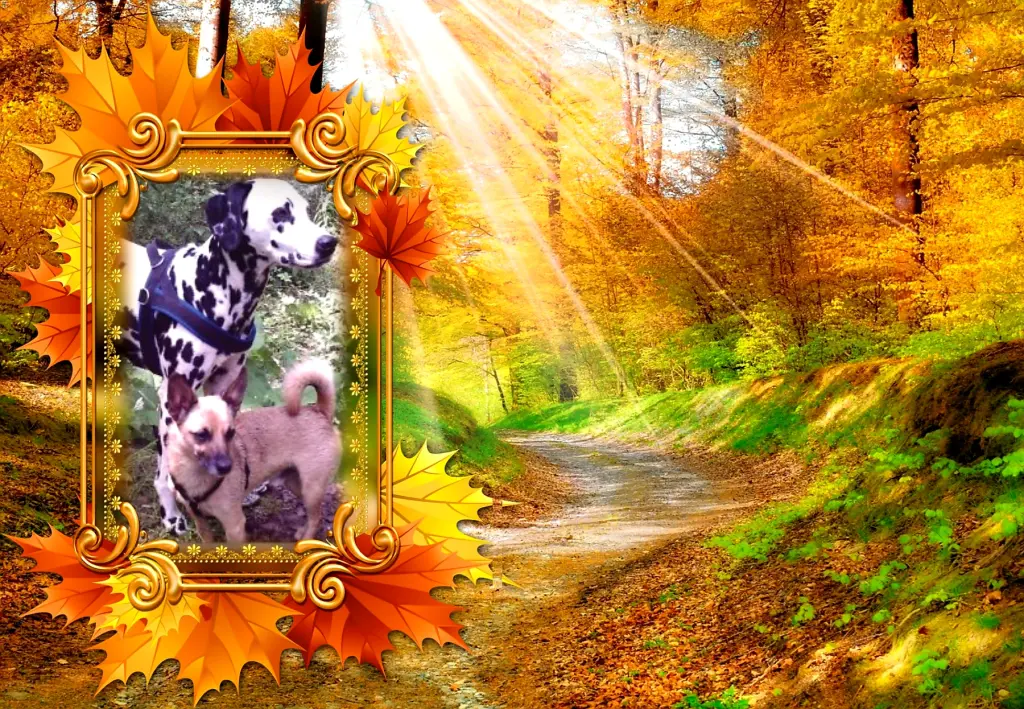 Condolence image of Michaela mit Nicko und Ariane ganz tief im ❤