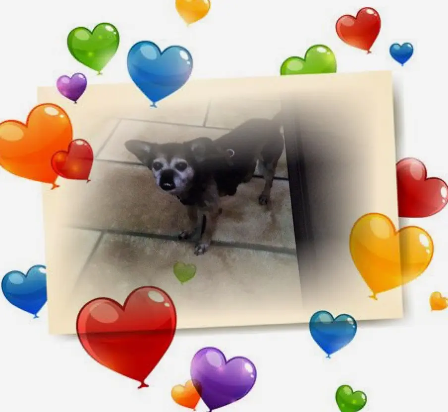 Condolence image of ❤️❤️❤️