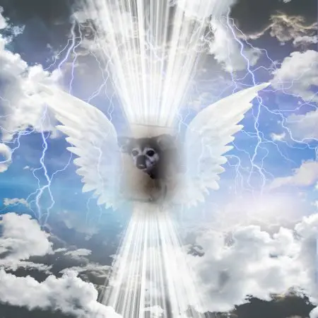 Condolence image of ❤️❤️❤️