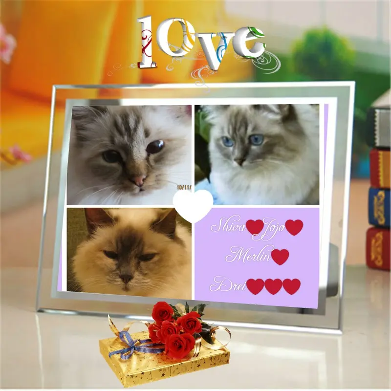 Condolence image of Uschi mit Seelenfreunden Shiva, Jojo und Merlin