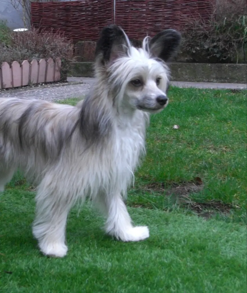 Condolence image of Michaela mit Nicko und Ariane ganz tief im ❤