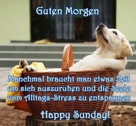 Condolence image of Brigitte mit Nelly, Benny und Axel im Herzen