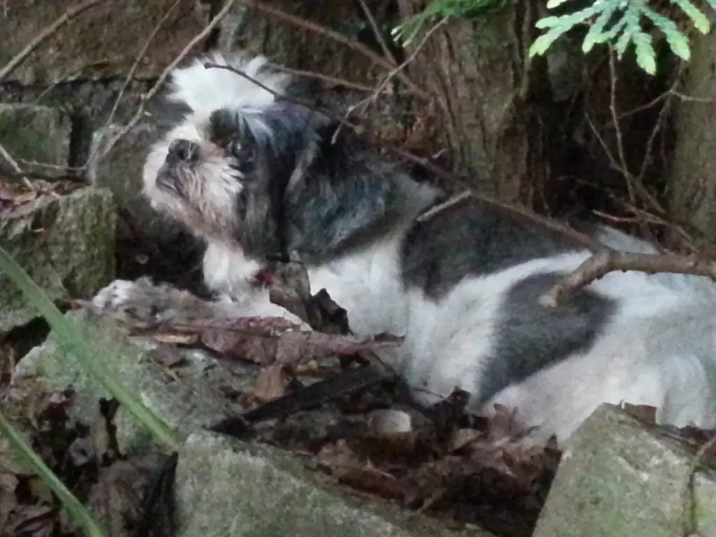 Condolence image of Marika Balou Hippo