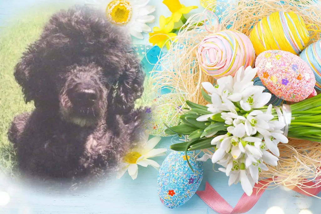 Condolence image of ❤️❤️❤️