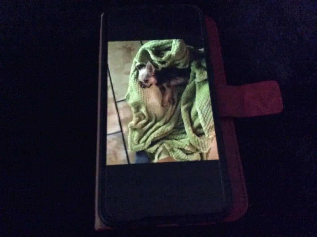 Condolence image of Mutti 