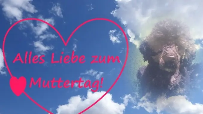 Condolence image of ❤️MAMA❤️