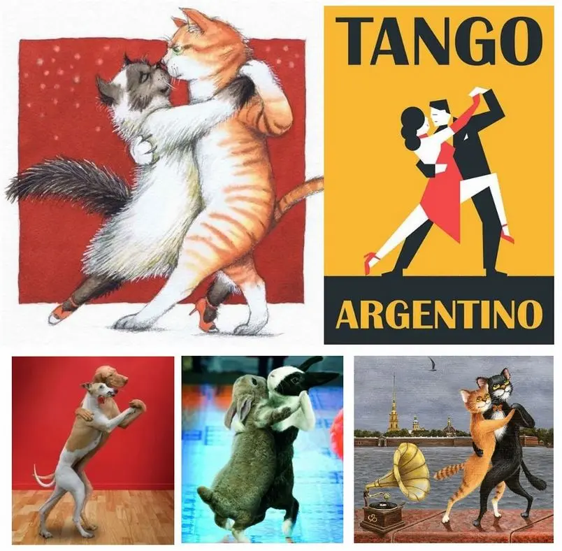 Condolence image of Eine Rose für Nele (Jojos Geschichte)