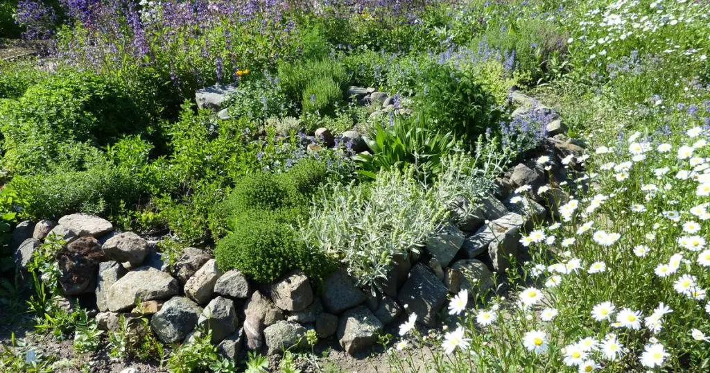 Condolence image of Pauline, Regenbogenland