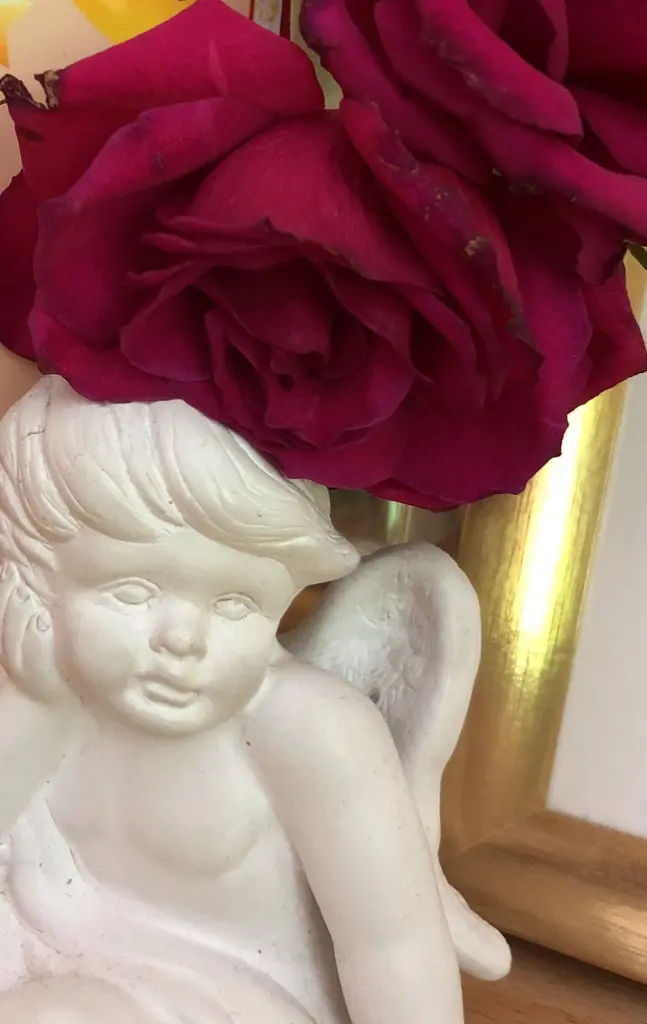 Condolence image of In Gedenken an Paula 