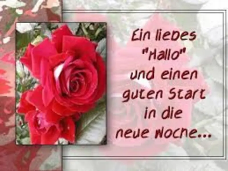 Condolence image of Brigitte mit Nelly, Benny und Axel im Herzen