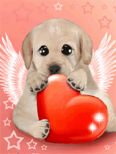 Condolence image of Sonntags❤️Rosen❤️❤️❤️❤️❤️❤️