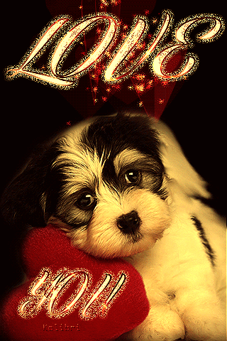 Condolence image of Sonntags❤️Rosen❤️❤️❤️❤️❤️❤️