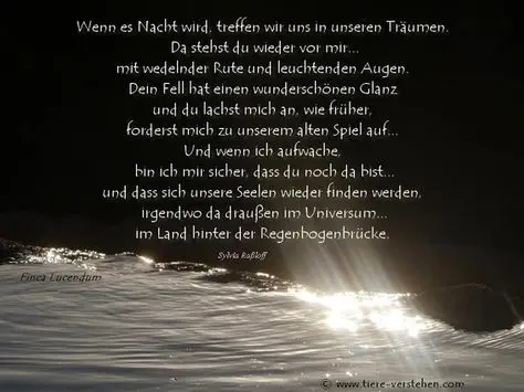 Condolence image of Rosen zum 6. Sternchen-Geburtstag