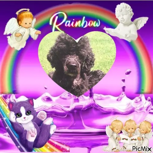 Condolence image of 6. Sternchen❤️Gedenktag❤️