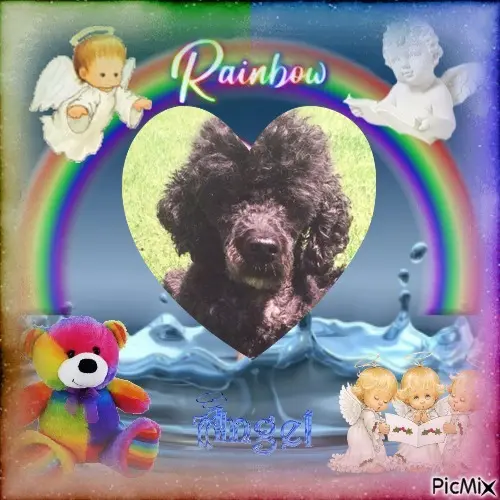 Condolence image of 6. Sternchen❤️Gedenktag❤️