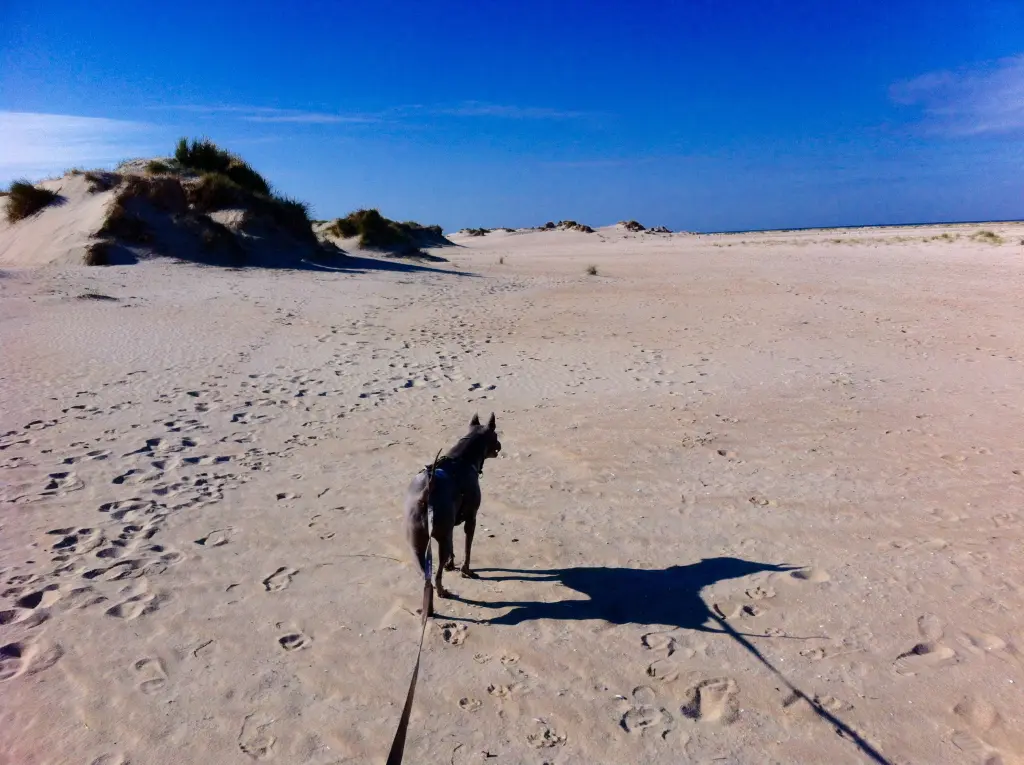 Image from Malee