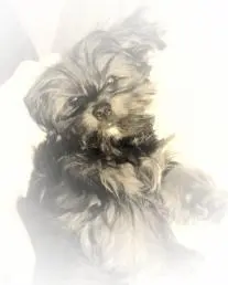 Andachtsbild von Kerstin