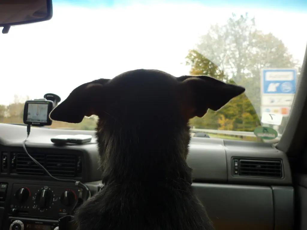 Image from Ronja