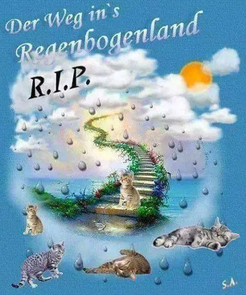 Condolence image of Andrea