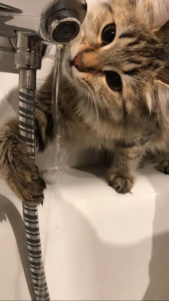 Condolence image of Anna-Lena und Tony