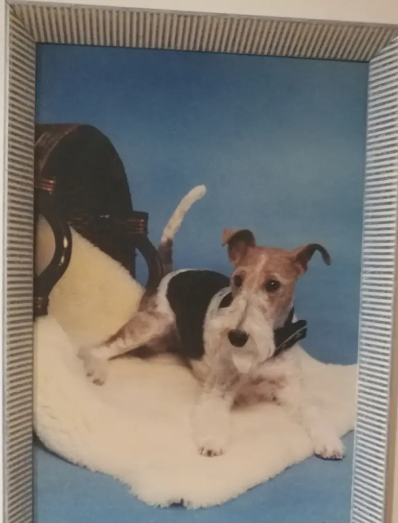 Condolence image of CLAUDIA Lambrecht