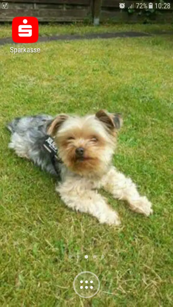 Condolence image of Barbara  Plaewe