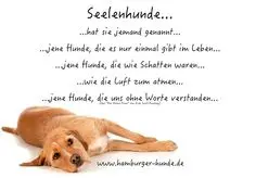 Condolence image of Angelika mit Balou im Herzen