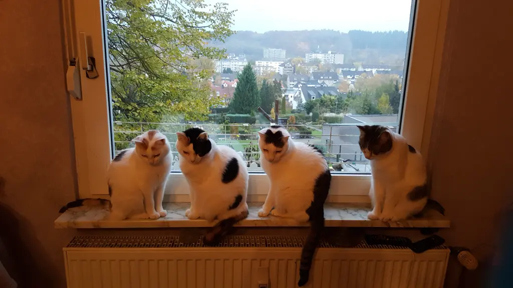 Condolence image of Claudia Mueller