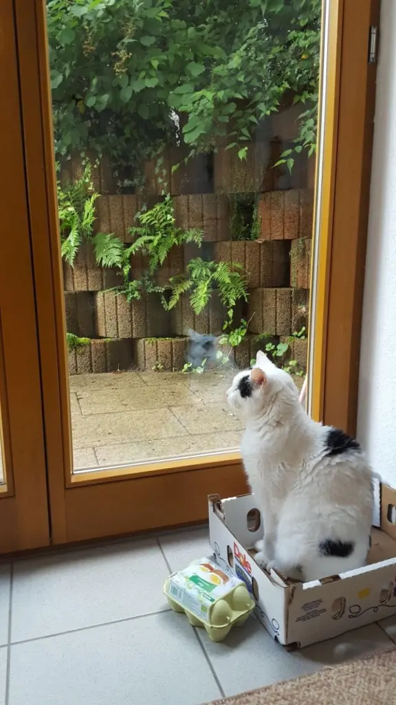 Condolence image of Renate